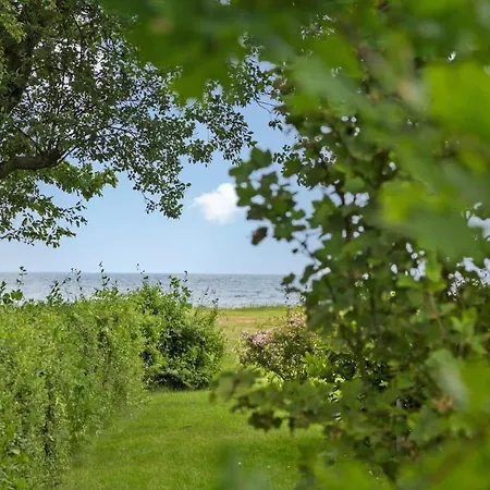 別荘 30108-odder-rosenvej-4